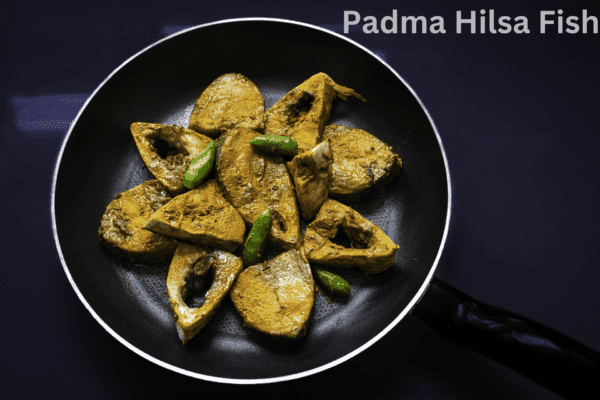 Padma Hilsa Fish