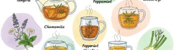 Herbal Teas for Digestive Health