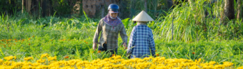 Kisan Credit Card: A Lifeline for Agricultural Growth