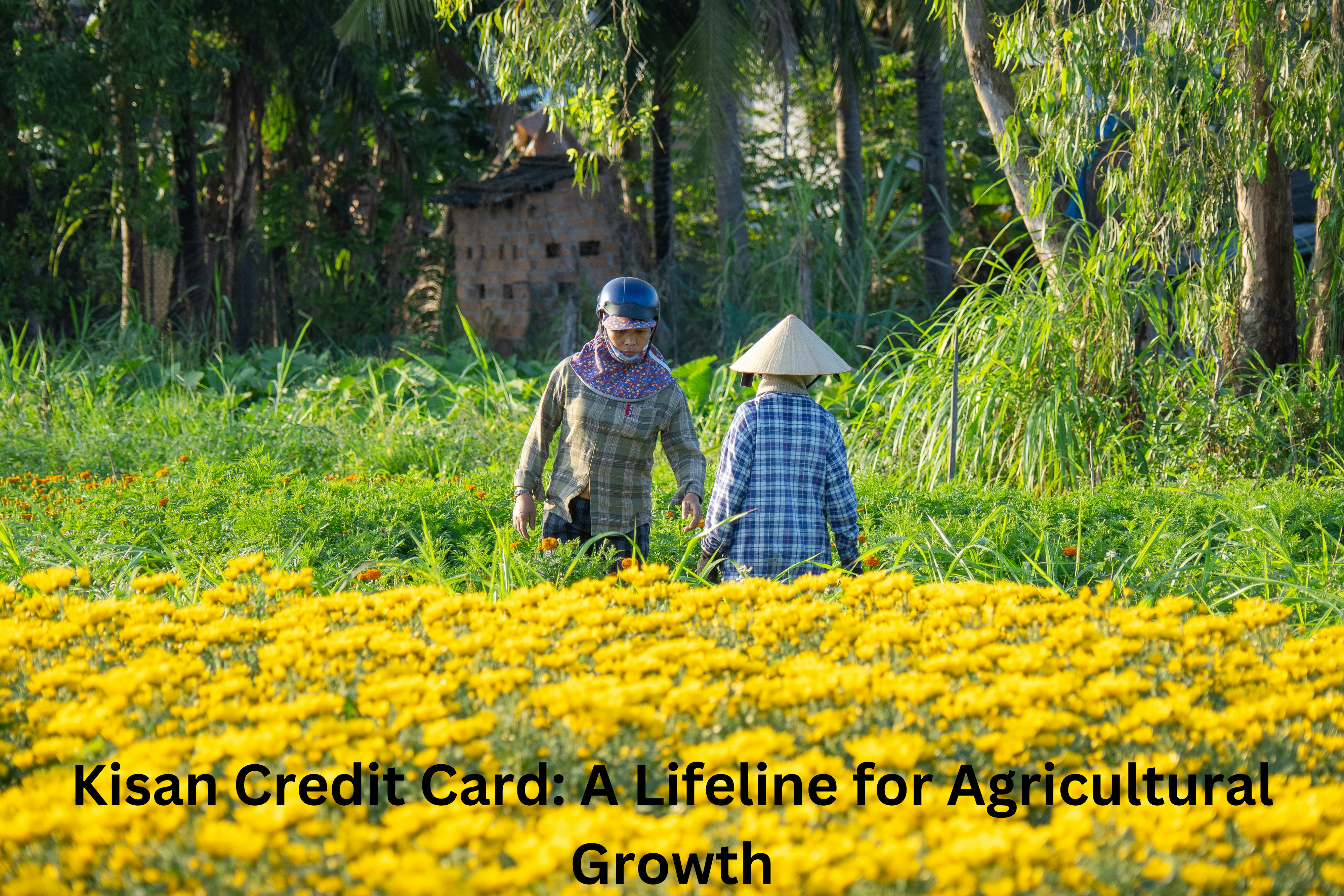 Kisan Credit Card: A Lifeline for Agricultural Growth