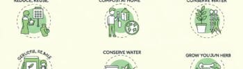 Sustainable Living Tips for Urban Apartments
